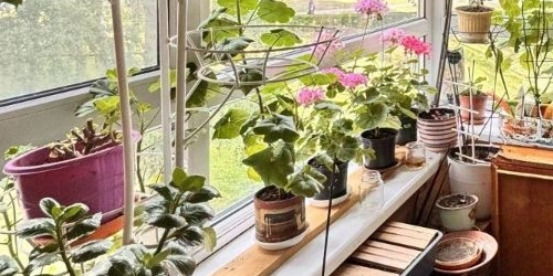 3-комн квартира Сестрорецк, улица Воскова, 1