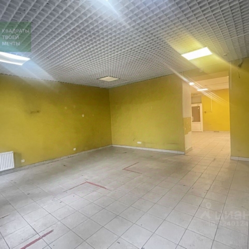 Помещение свободного назначения наб Чёрной речки,  д. 51б