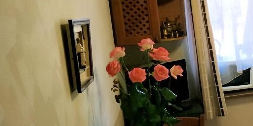 3-комн квартира Зеленый проспект, 48К3