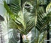 Сдать в аренду Квартиры вторичка Полтавский проезд, 3   