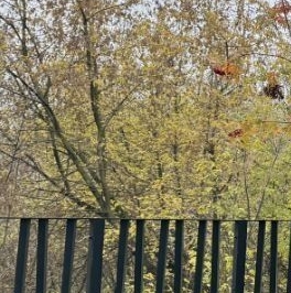 Продажа 3-комн квартиры на вторичном рынке Озерная улица, 1к2/4