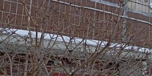 2-комн квартира Горелово тер., улица Коммунаров, 120