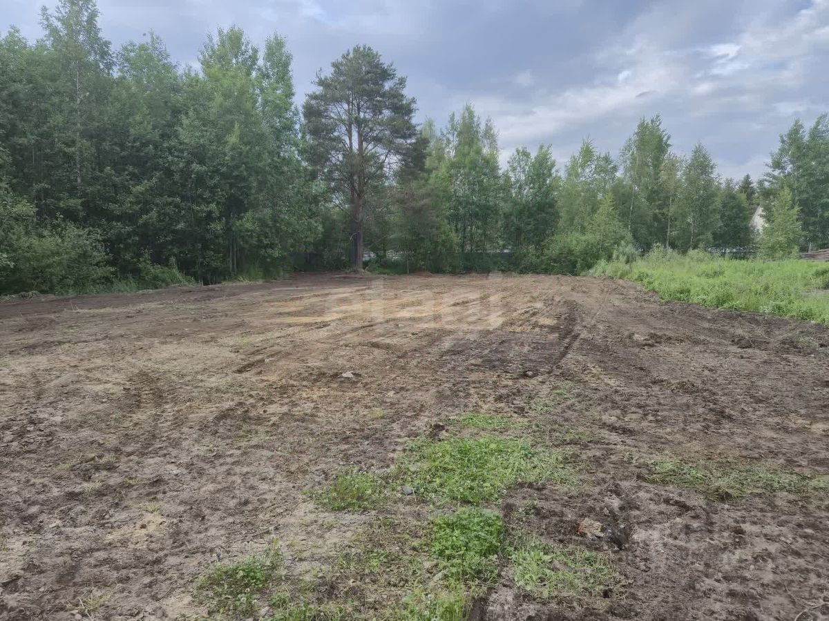 Продажа земли Рахья садоводческий массив, Косой Карьер СНТ, 3-я линия