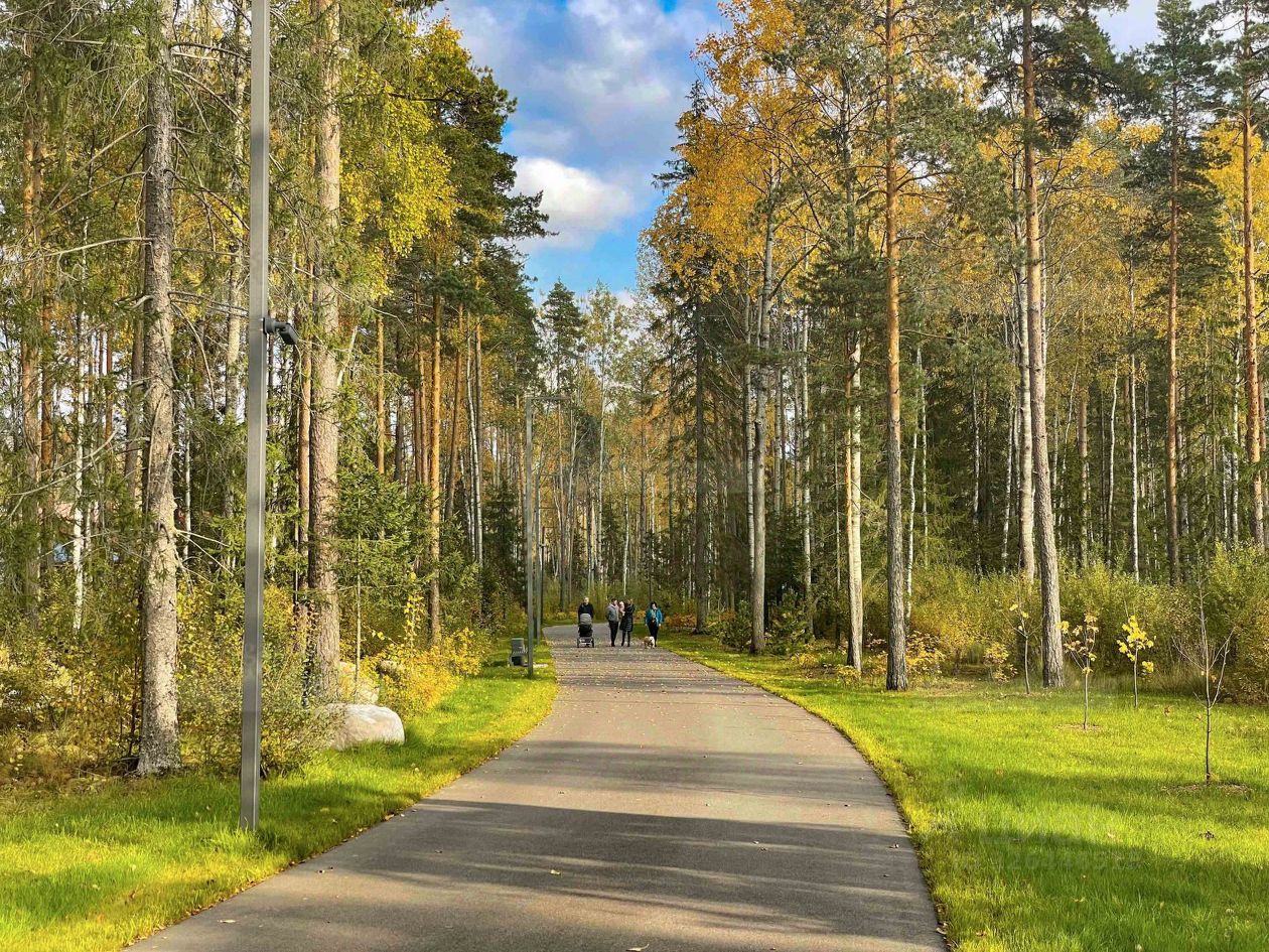 Продажа земли Репино Парк кп,  д. 555
