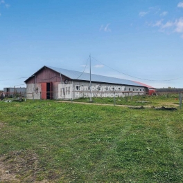 Продажа ПСН деревня Губаницы, деревня Губаницы,