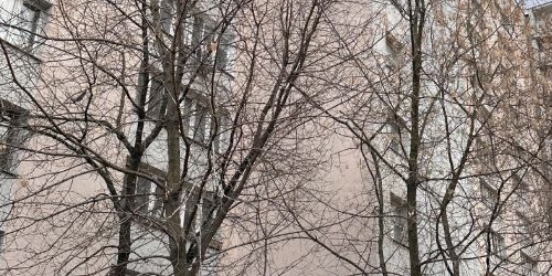 3-комн квартира улица Полбина, 23К2