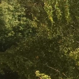 Продажа 3-комн квартиры на вторичном рынке улица Серпуховский Вал, 6