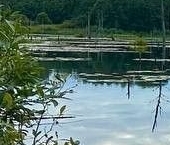 Продать Земельные участки, земля Мичуринское СНТ   