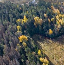 Продажа земли Сабур-3 СНТ, д. 24 Продажа земли Сабур-3 СНТ, д. 24