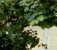 Продажа квартиры на вторичке пос. Пудость, улица Зайончковского, 9