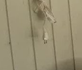 Продать Дачи, коттеджи, загородные дома Посадников остров садоводческий массив, Аэрофлот-Кириши СНТ, проезд Центральный   