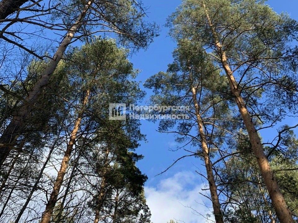 Продажа земли д. Муя, улица Центральная