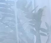 Продать Квартиры вторичка Мытищи, Силикатная улица, 47к1   