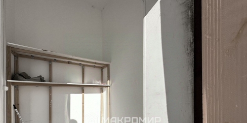 Помещение свободного назначения Приморский пр-кт,  д. 137,  к. 4