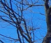 Продать Квартиры вторичка улица Вересаева, 12   