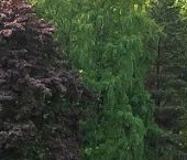 Продать Квартиры вторичка дорога Южная, 5   