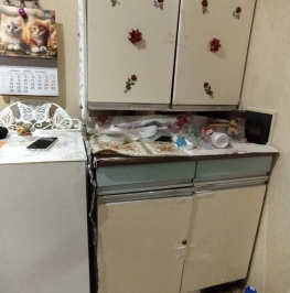 Продажа студии Петергоф г., Парковая ул. ,  д. 14