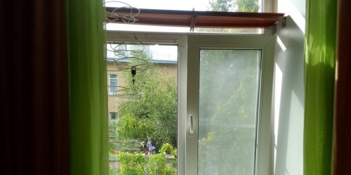 Комната Лисий Нос пос., Ивановская ул. ,  д. 12,  к. 2