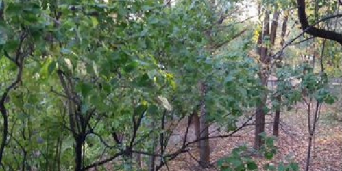 1-комн квартира улица Артамонова,  д. 11 к2