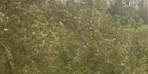 1-комн квартира Колпино, улица Братьев Радченко, 25