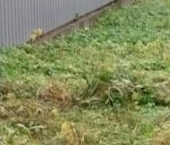 Продать Земельные участки, земля д. Новожилово, улица Хуторская   