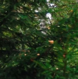 Продажа дома д. Мендсары, улица Набережная, 10 Продажа дома д. Мендсары, улица Набережная, 10