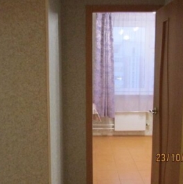 Аренда 1-комн квартиры на вторичном рынке ул Руднёвка,  д. 41,  к. 1