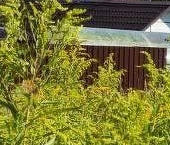 Продать Земельные участки, земля Механизатор СНТ, улица 1-я   