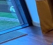 Сдать в аренду Квартиры вторичка Ремесленная улица, 19   