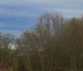 Продать Земельные участки, земля д. Санино, улица Цветочная   