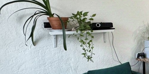 Студия Загородный проспект, 21-23