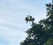 Продать Квартиры вторичка Кировск, Ладожская улица, 18   