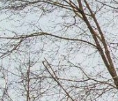 Продать Квартиры вторичка Береговая улица, 8   