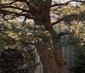 Продать Дачи, коттеджи, загородные дома Отрадное, 2-я линия  115 