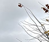 Продать Квартиры вторичка Мытищи, улица Колпакова, 44   