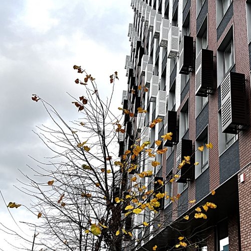 Студия Мытищи, улица Колпакова, 44