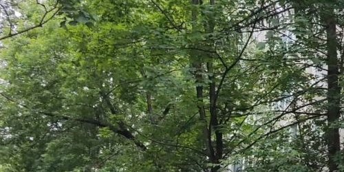 3-комн квартира улица 26 Бакинских Комиссаров, 3к1