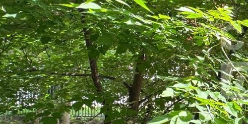 2-комн квартира Новощукинская улица, 1