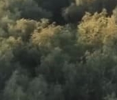 Продать Квартиры вторичка пос. Развилка, 52к1   