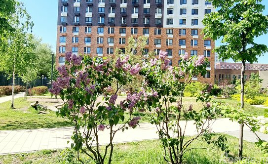 Продажа 1-комн квартиры на вторичном рынке Люберцы, ул 8 Марта,  д. 18,  к. 1