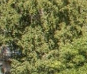 Продать Квартиры вторичка проспект Просвещения, 68К1   