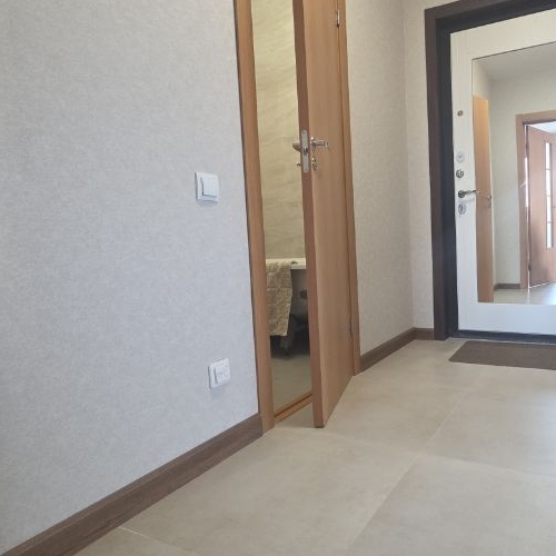 1-комн квартира улица Бабушкина, 84к2