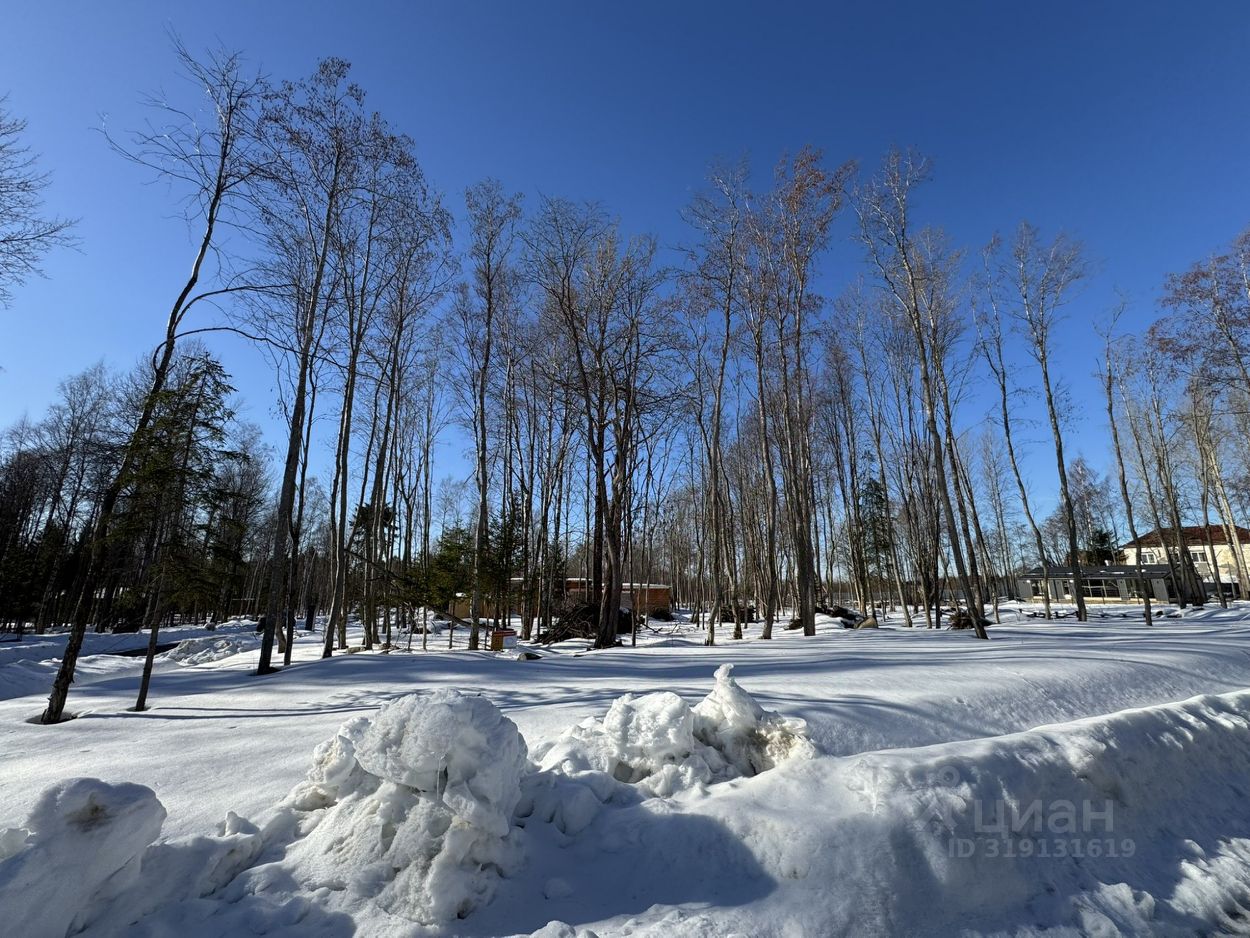 Продажа земли Новожилово массив, АРС СНТ
