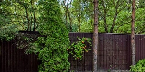 Коттедж/дом Сестрорецк, проспект Тарховский, 50