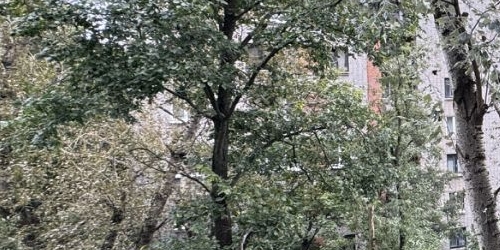 1-комн квартира Альпийский переулок, 2