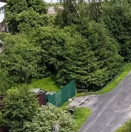 Продажа земли Сестрорецк, Разлив СНТ, дорожка 14-я, 2/12