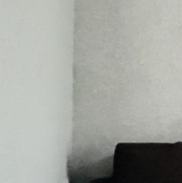 Аренда 1-комн квартиры на вторичном рынке Комендантский проспект, 57к1 Аренда 1-комн квартиры на вторичном рынке Комендантский проспект, 57к1