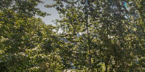 2-комн квартира улица Гастелло, 10