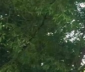 Продать Квартиры вторичка улица Бурцева, 17   