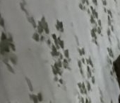 Продать Квартиры вторичка 4-й мкр  35 